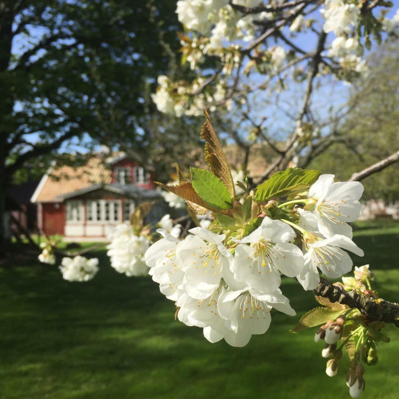 Soeder Countryhouse & Kitchen Bastad Bagian luar foto